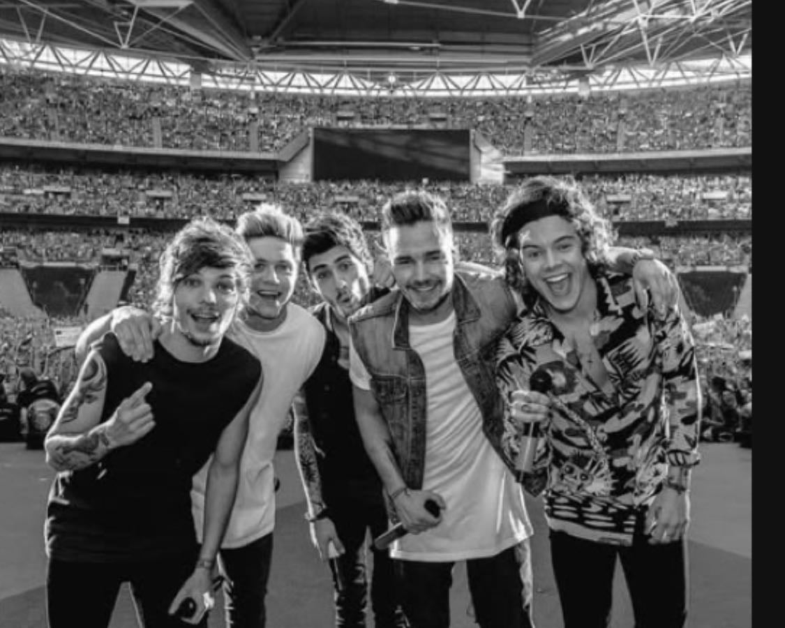Fav 1D solo albums 🫶🏻 - Music hypelist by 𝓢𝓪𝓻𝓪𝓱 ❯❯❯❯❯