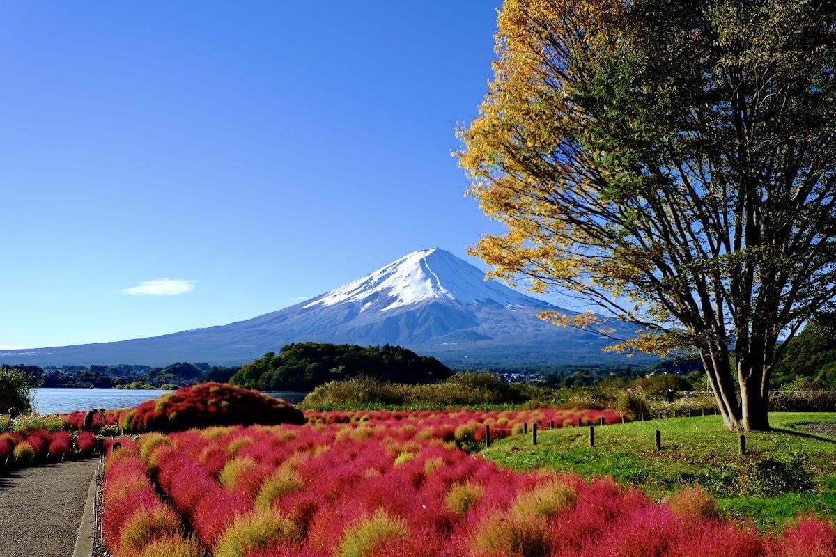 Oishi Park