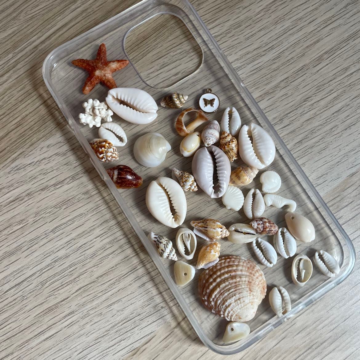 🐚