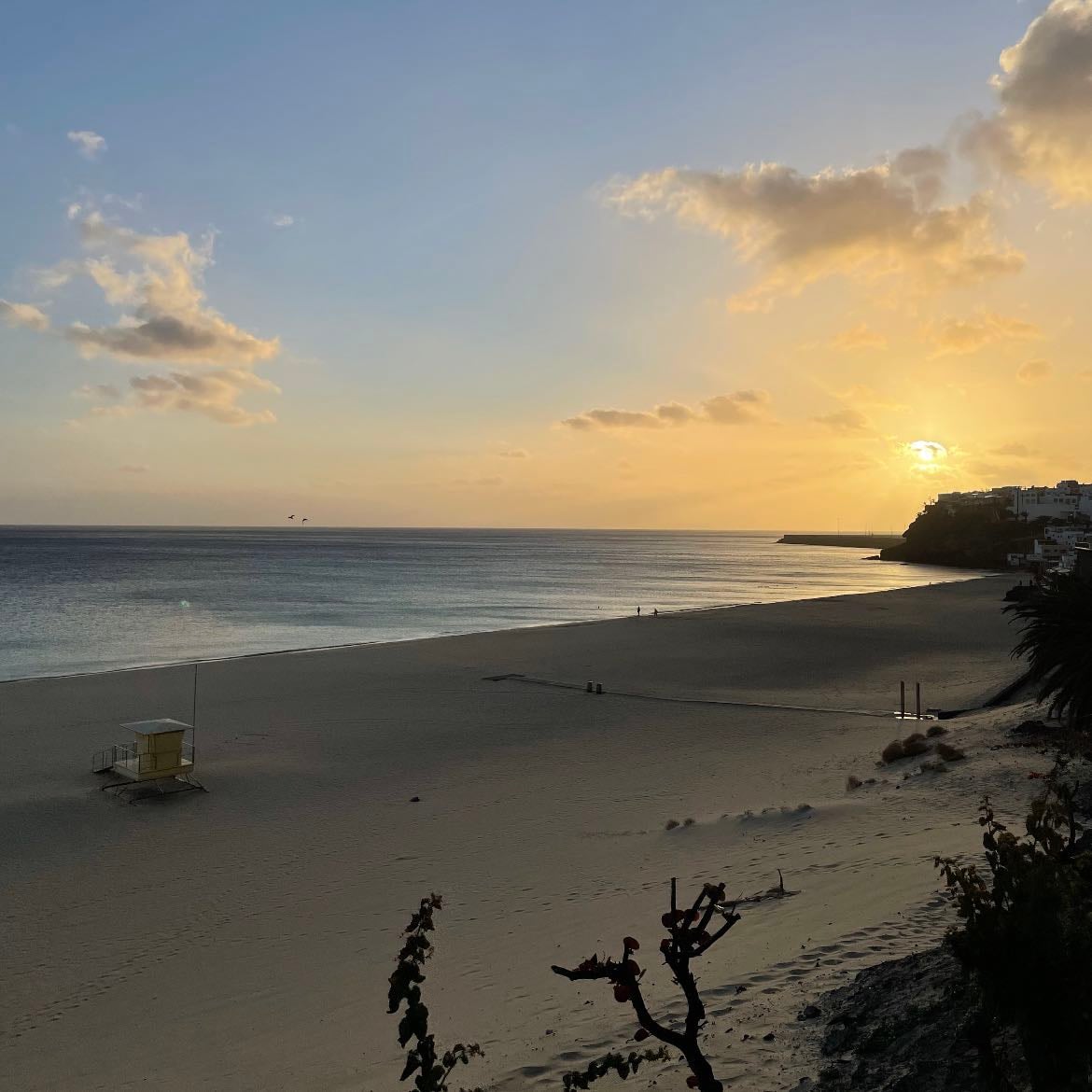 🌅