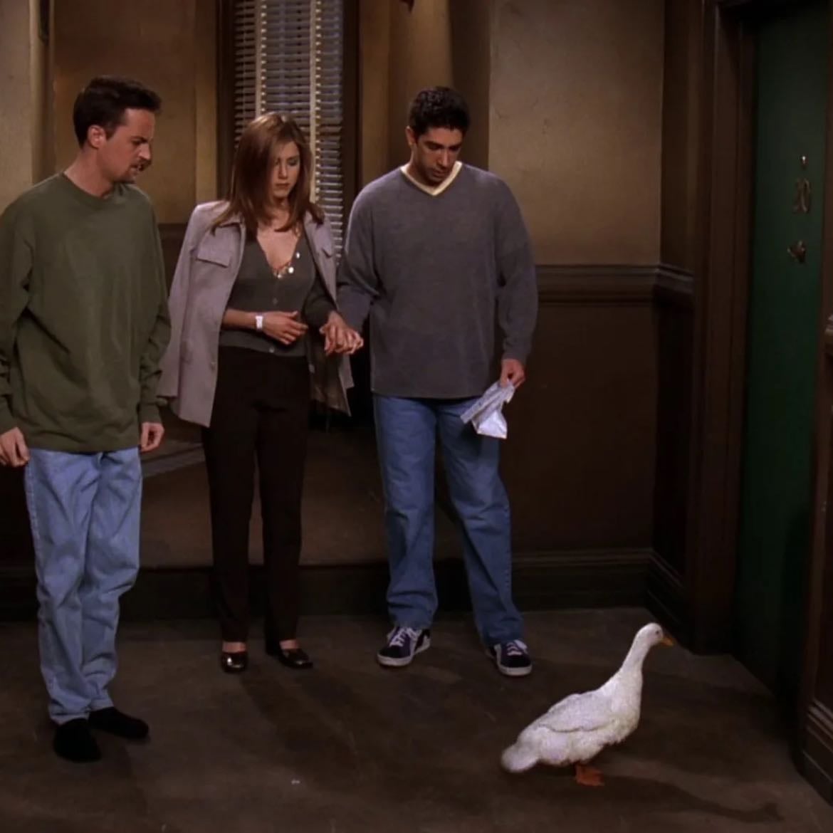 21. The One With A Chick And A Duck - For the chick and the duck