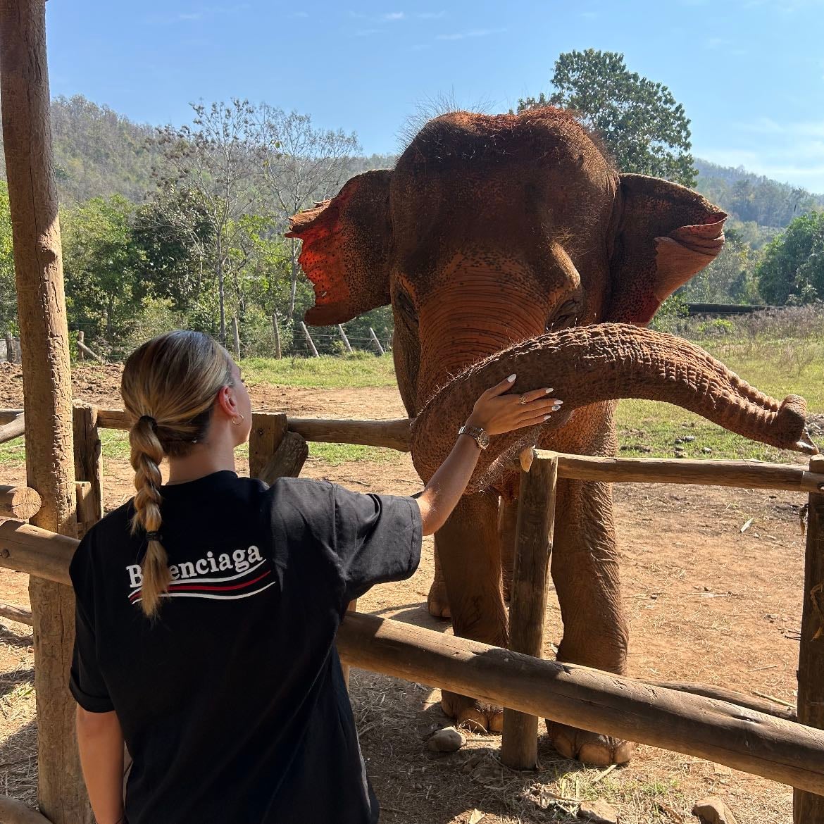 Voir des éléphants 🐘