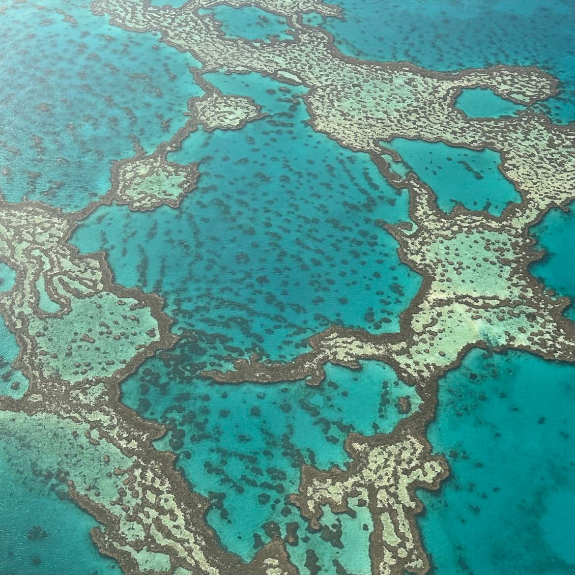 Survoler la barrière de corrail 🚁