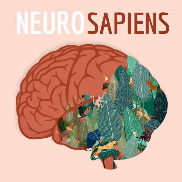 Neurosapiens - Show