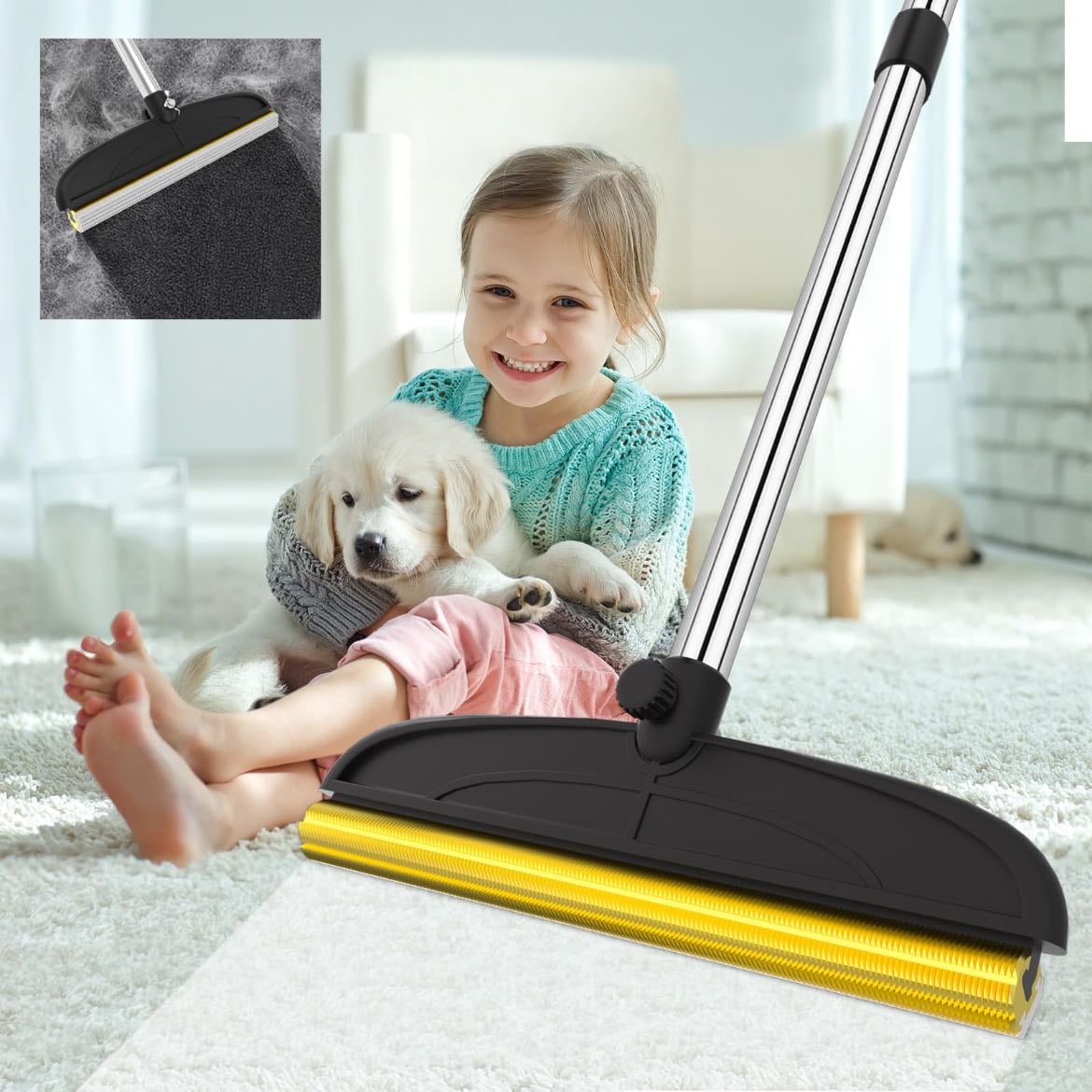 pet hair broom