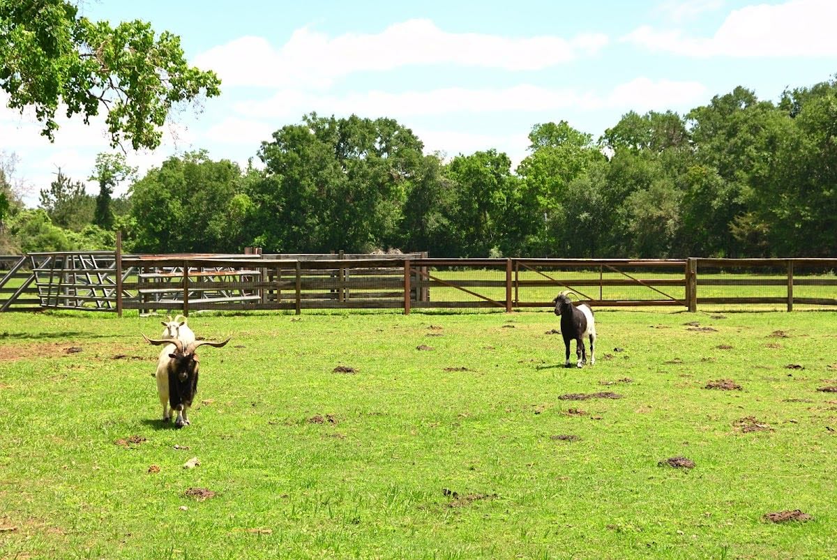 The Good Vibe Farm