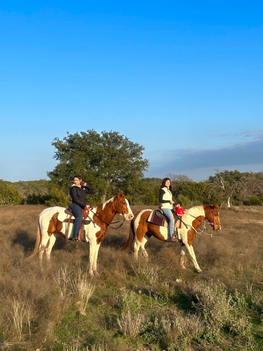 Nameless Horse Ranch