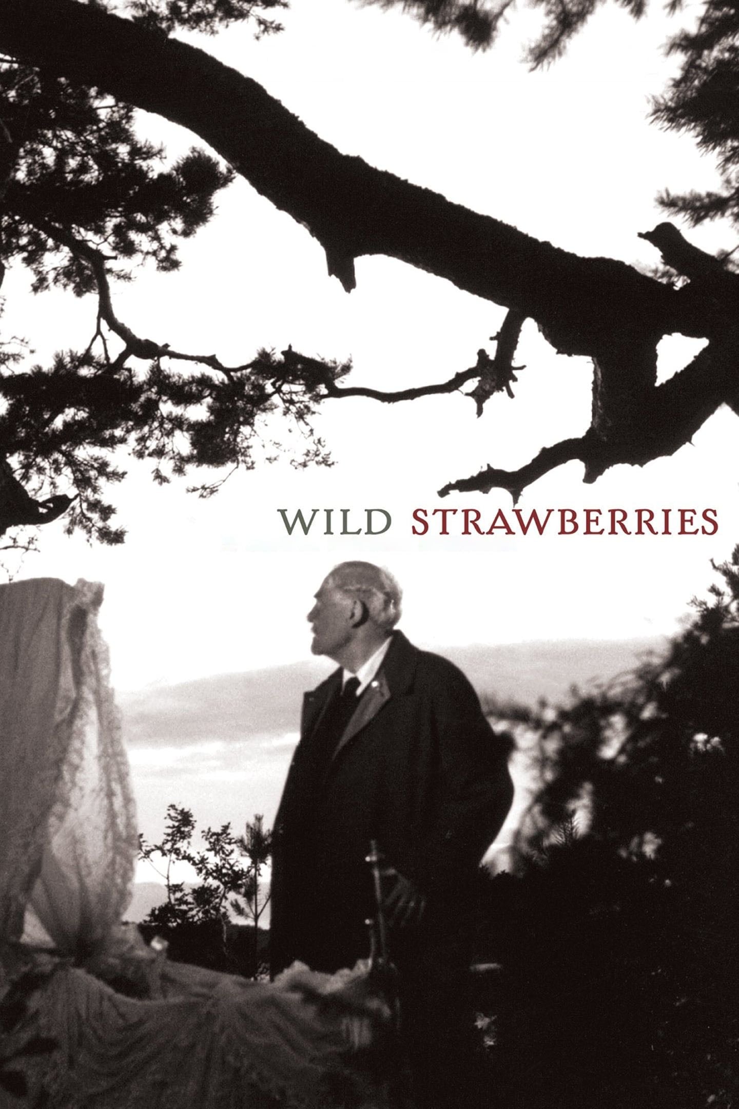 Wild Strawberries - Ingmar Bergman · 1957