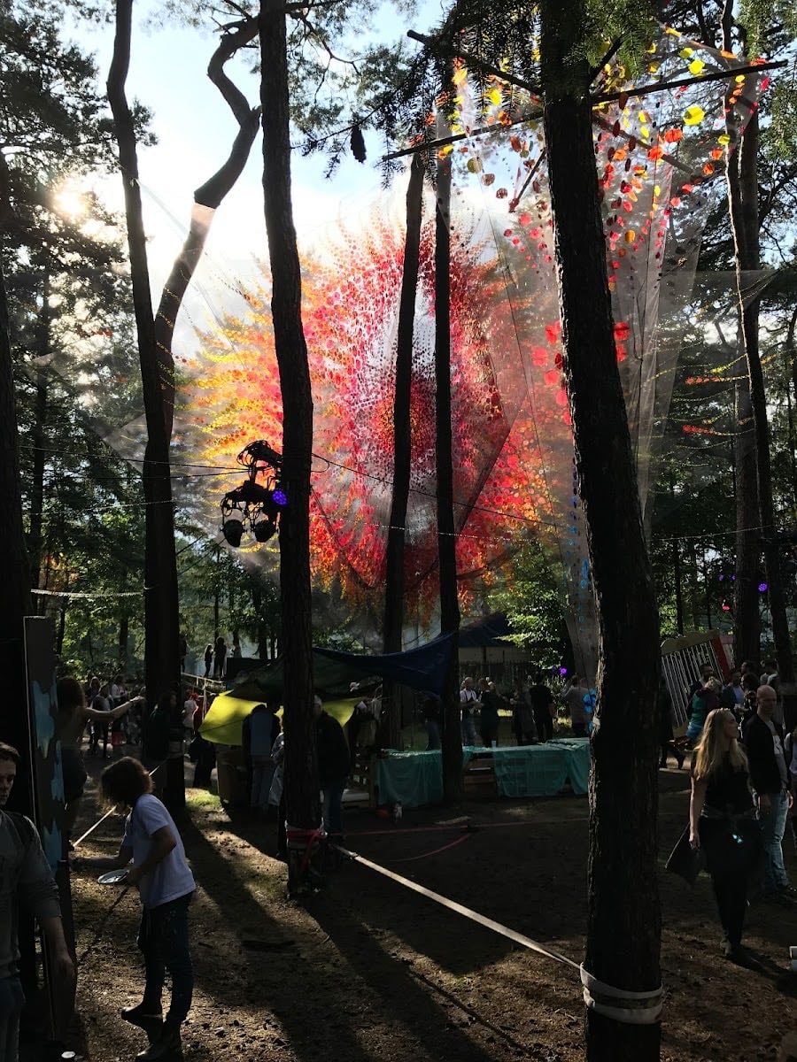 Into The Woods Bv