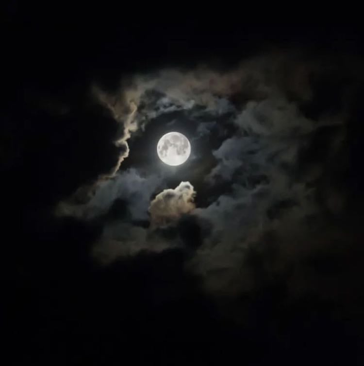 a lúa