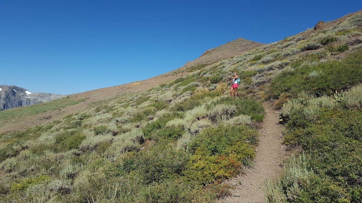 Pacific Crest Trail