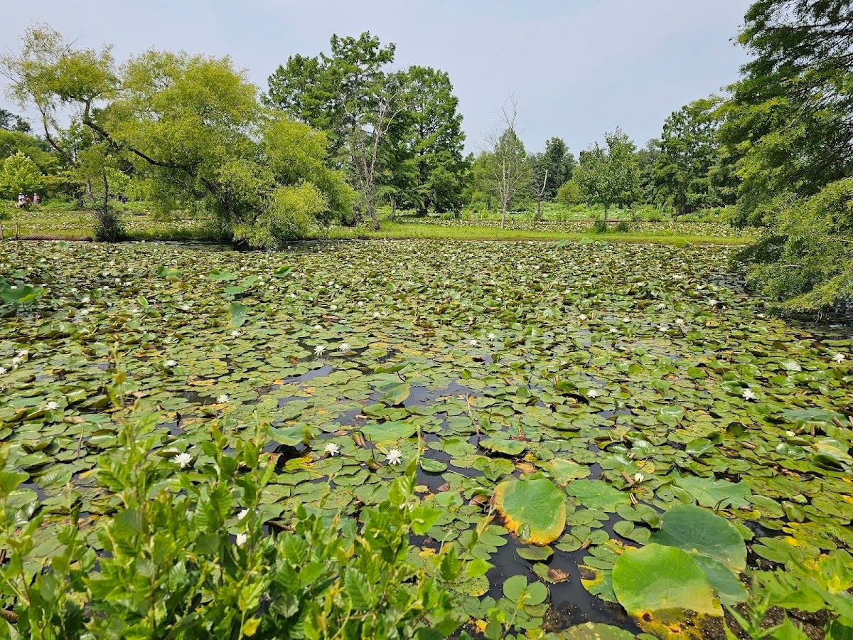 Kenilworth Aquatic Gardens
