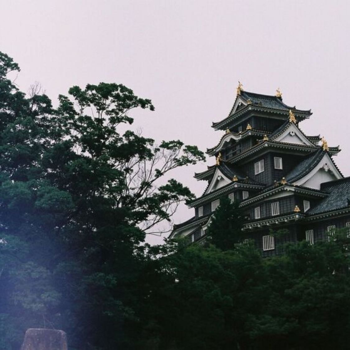omi kim - cinematic videos in japan