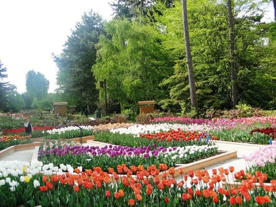 Parc Floral