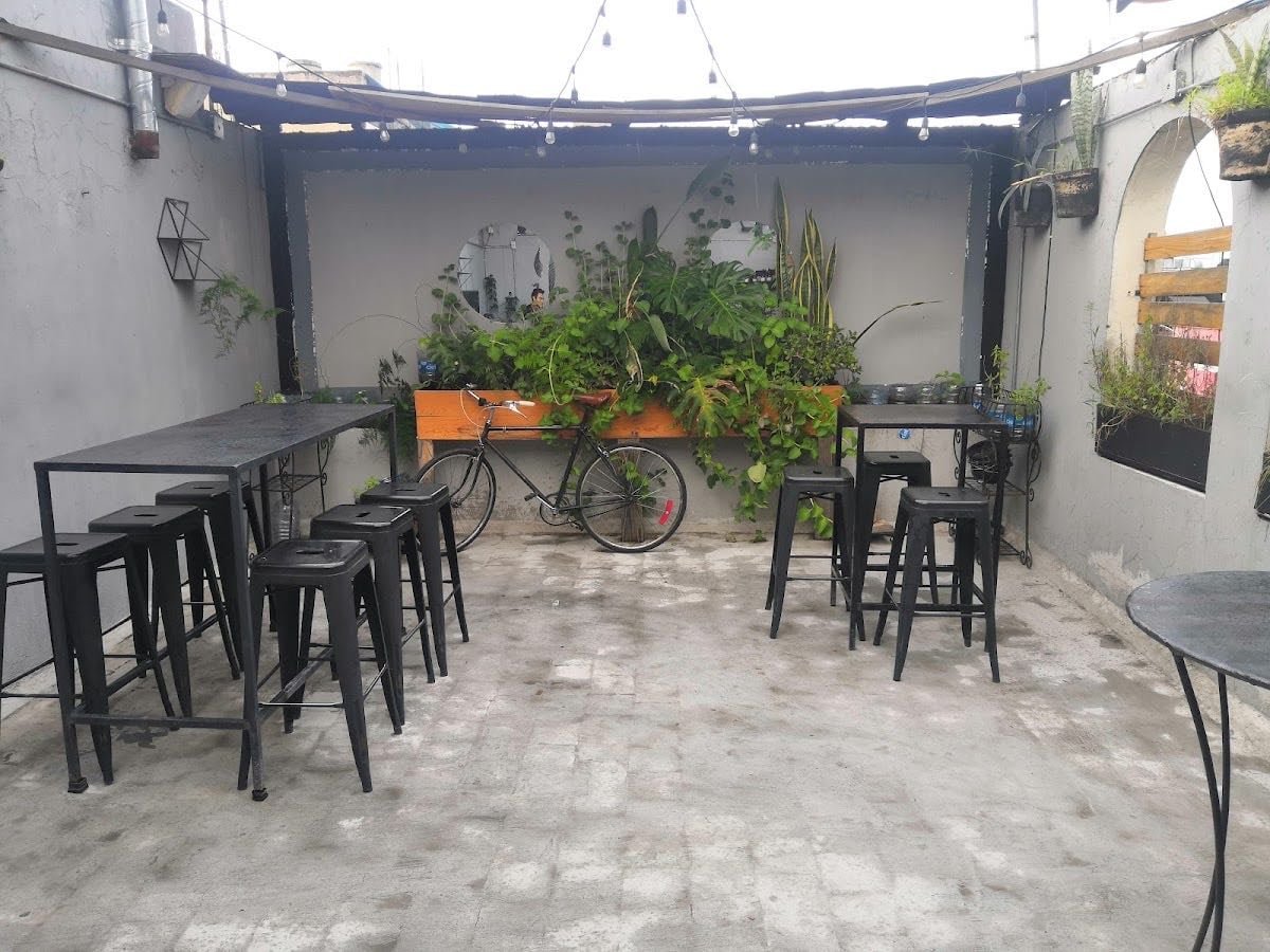 Pedro y El León - Bar