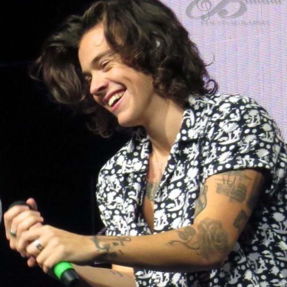 Prince hair harry!