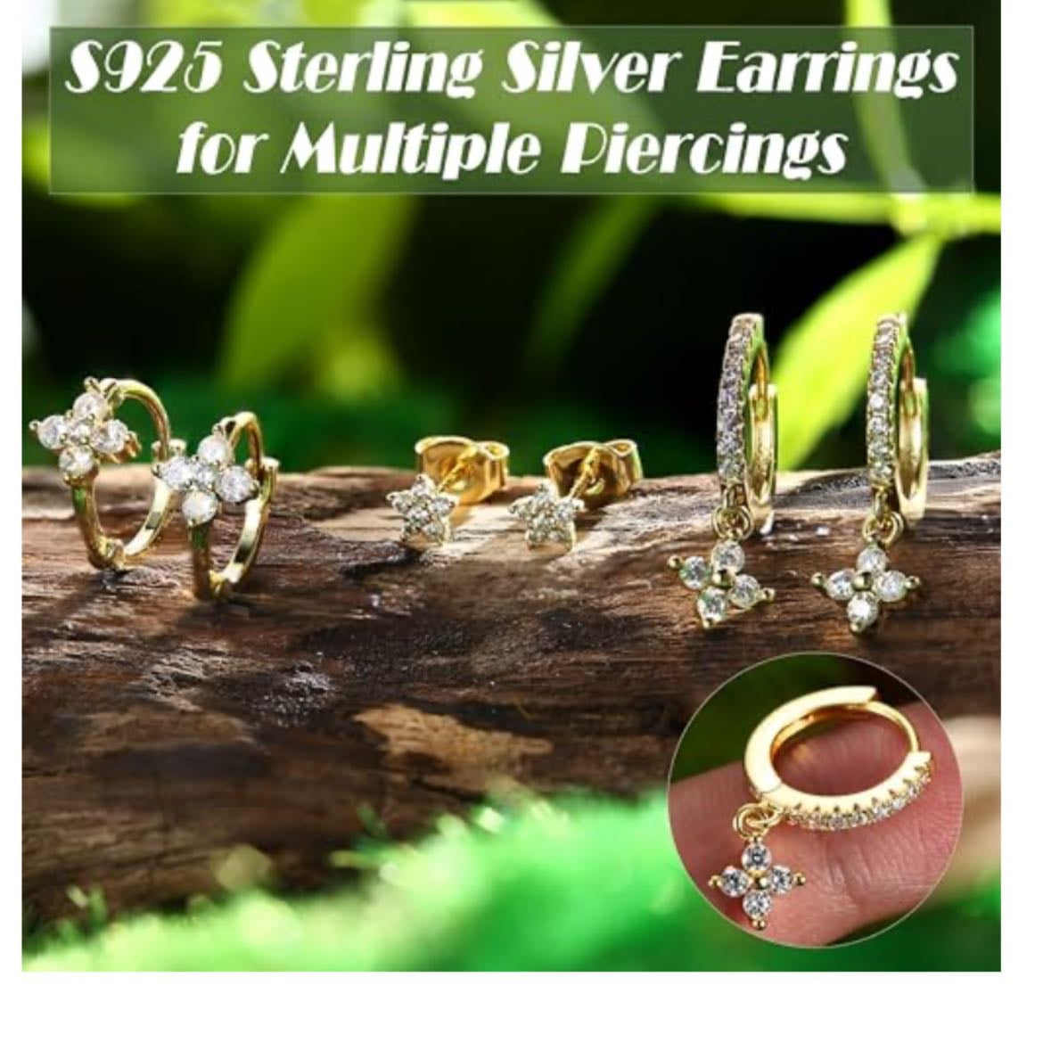 Earrings