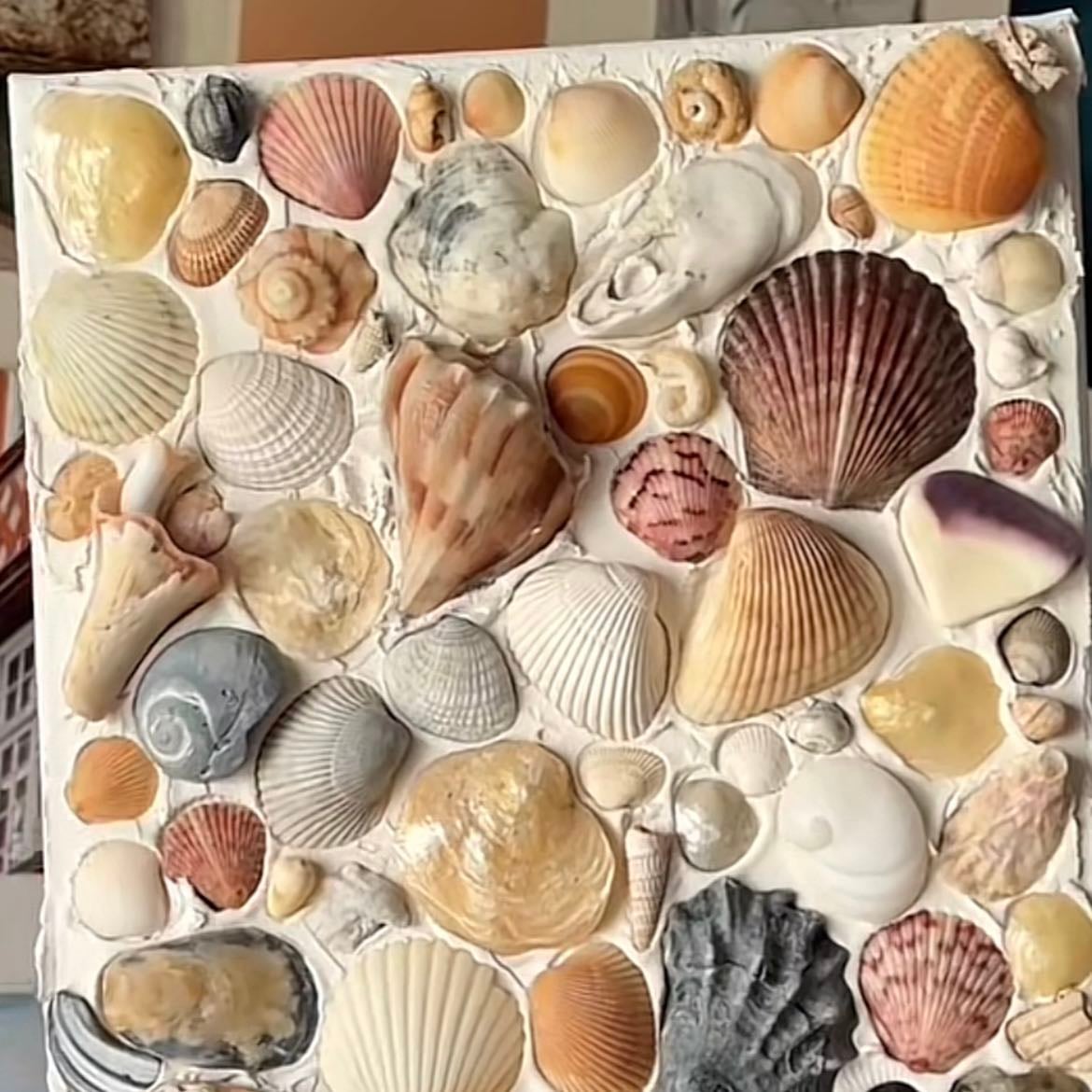 Shell canvas 🩵