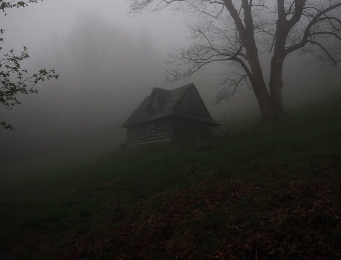 horror movies