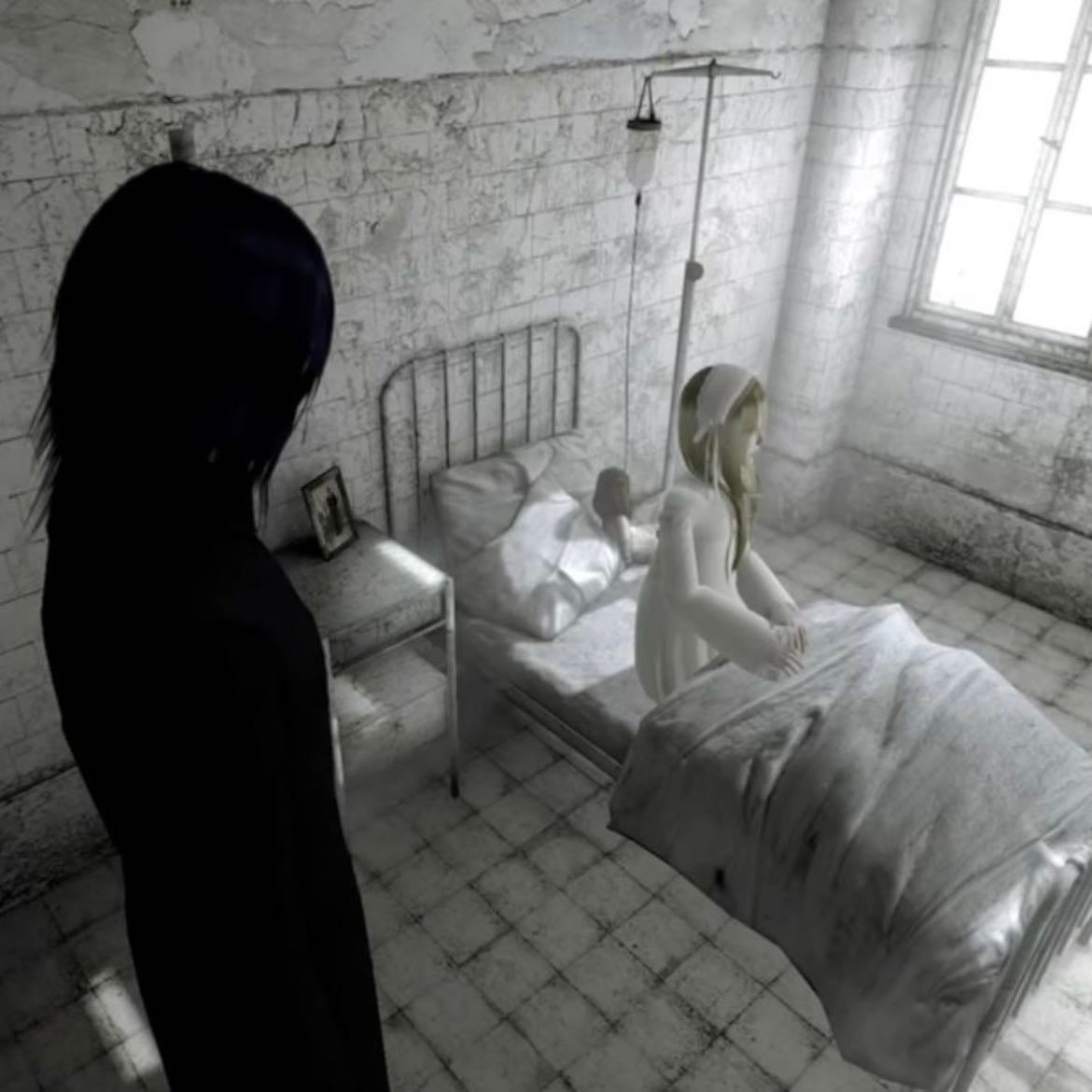 cineris somnia