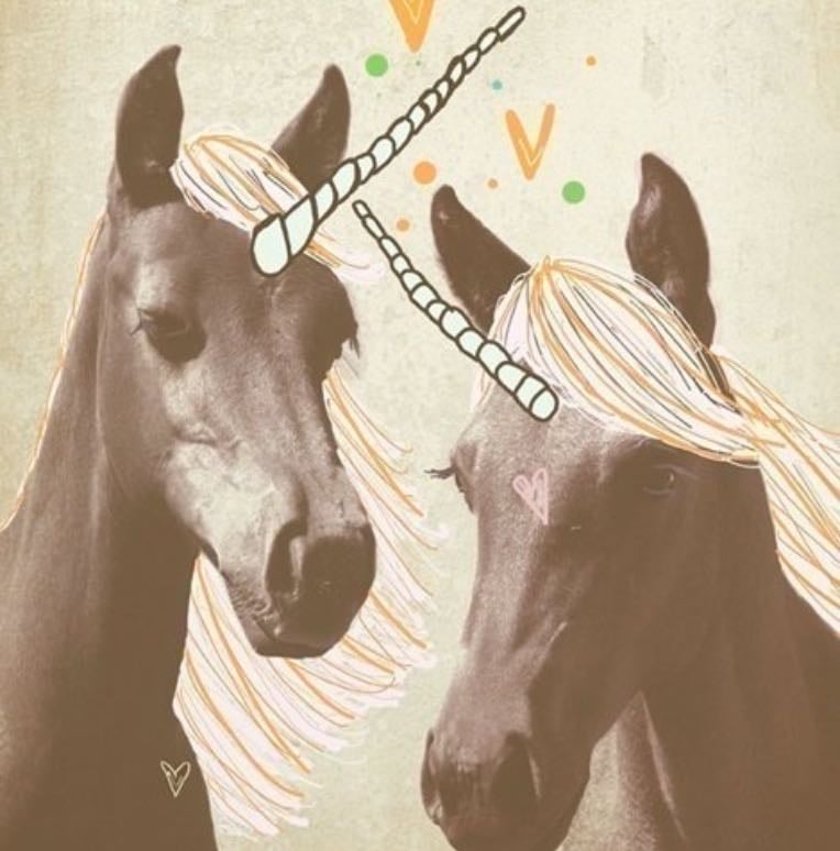 𝓾𝓷𝓲𝓬𝓸𝓻𝓷𝓼