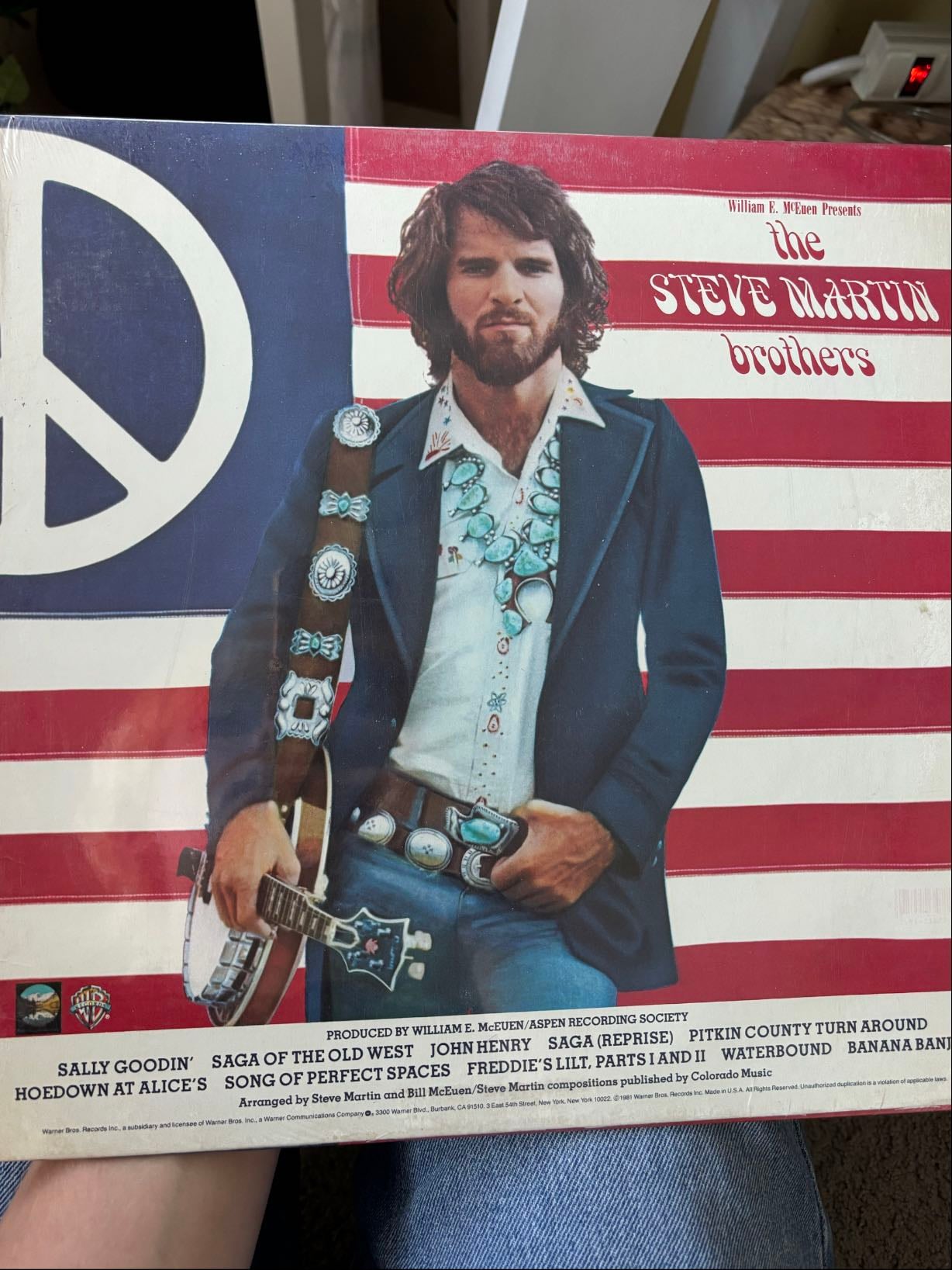The Steve Martin brothers - Steve Martin