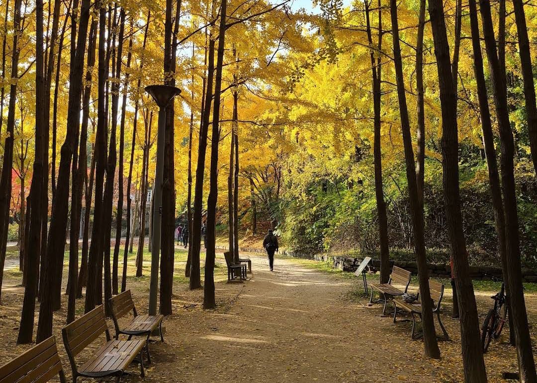 Seoul Forest Park