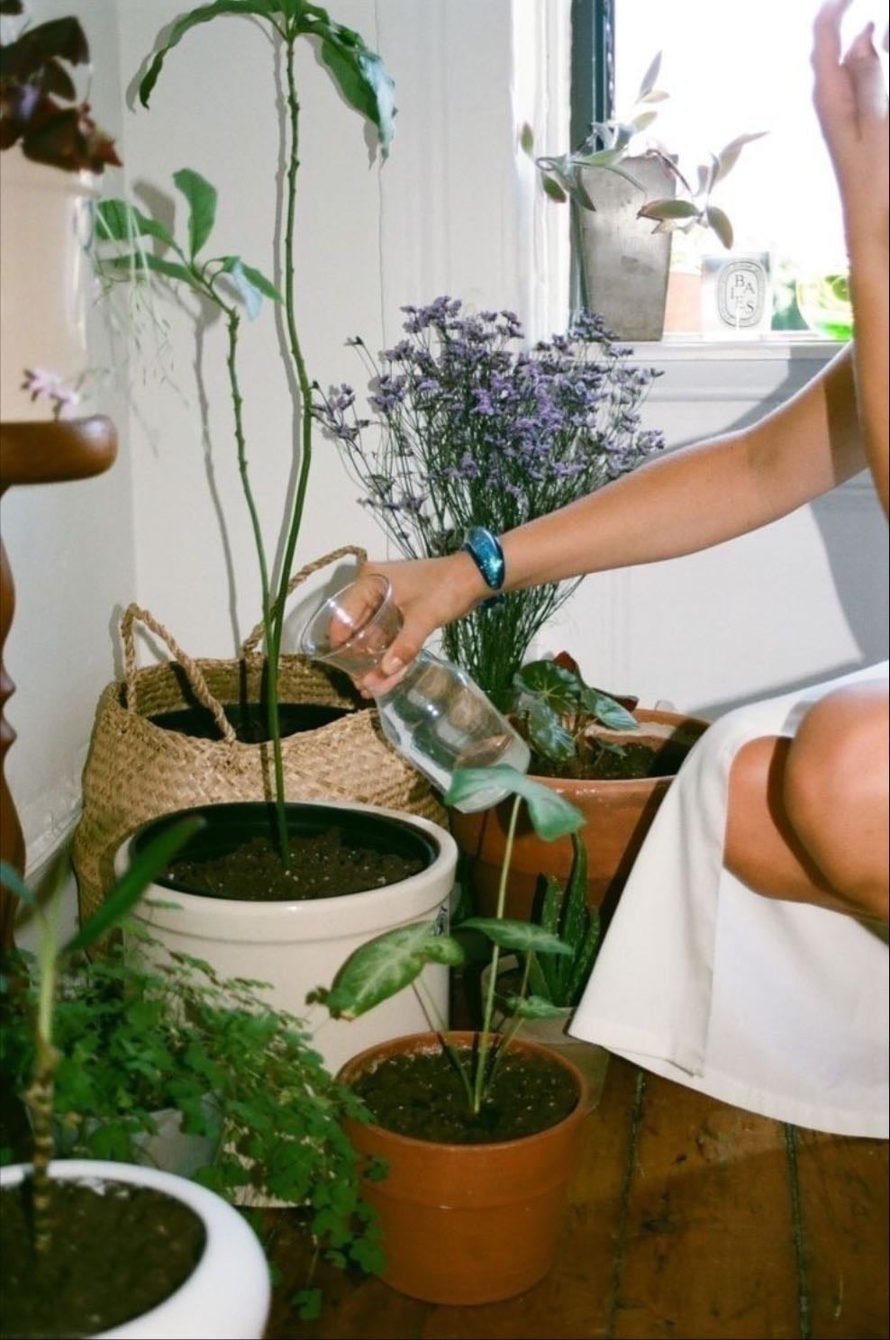 Jardinería