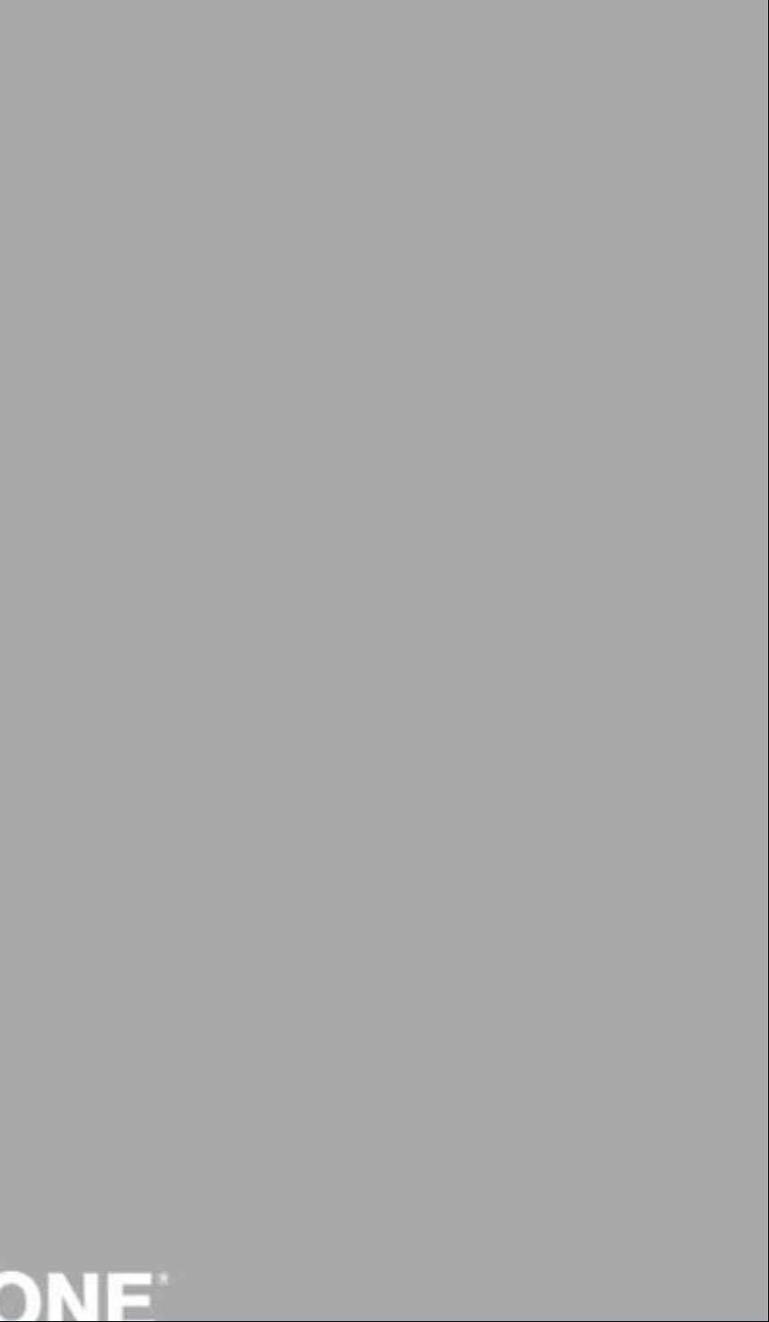 Silver grey