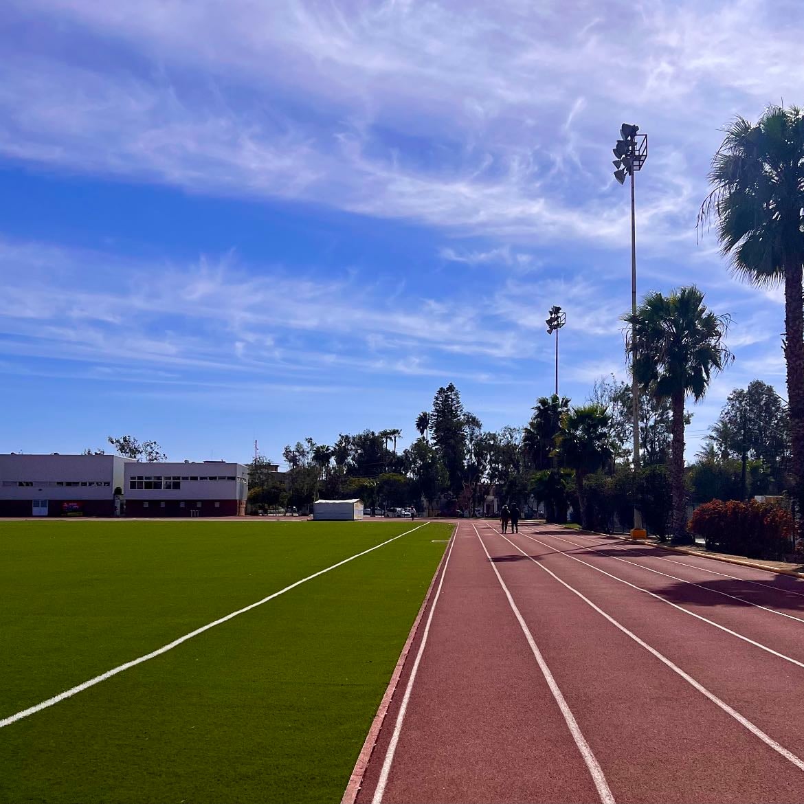 SULLIVAN - ir a correr a la pista nunca está demás, tiene diferentes canchas para distintos deportes, un clásico para ir a hacer deporte en la ciudad🏃♀️
