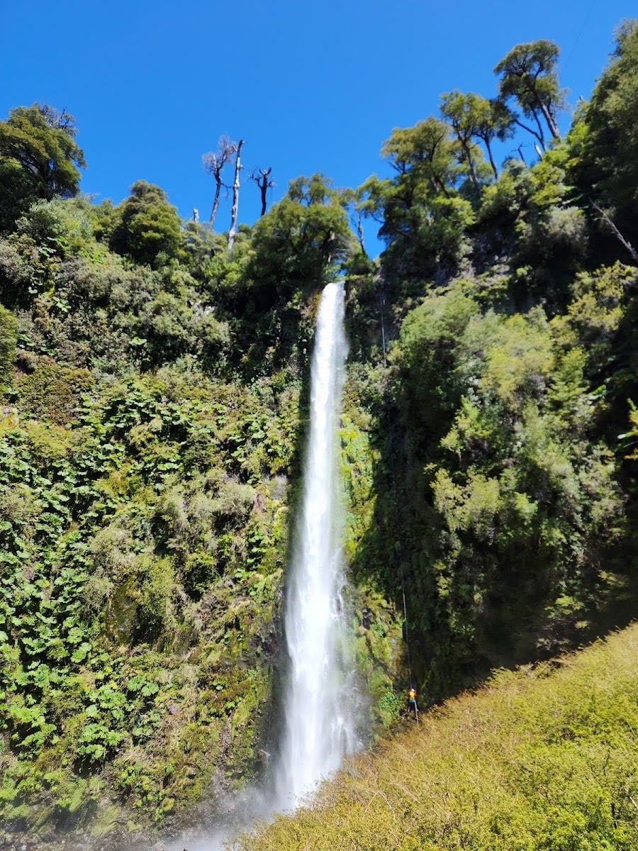 Salto la China
