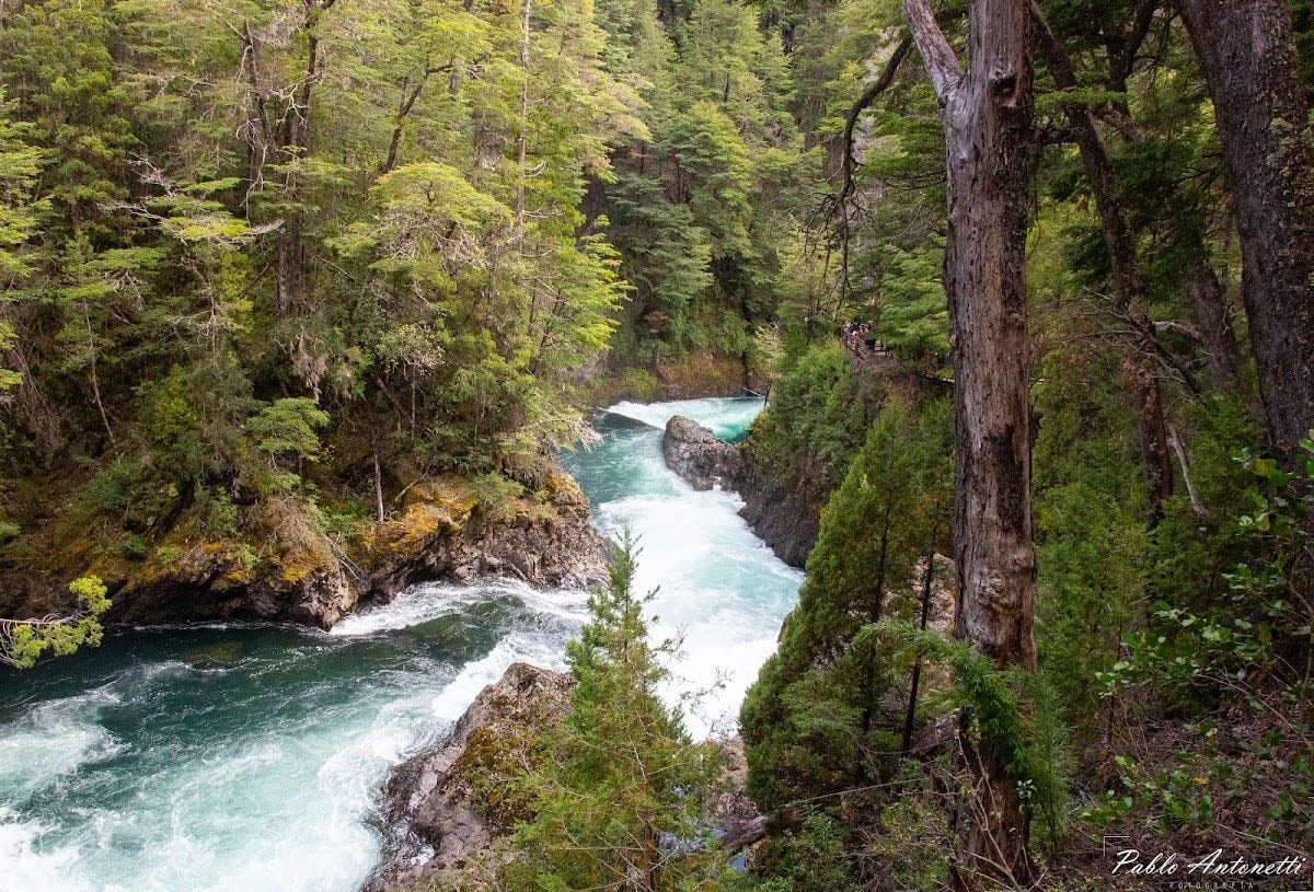 Cascada Los Alerces