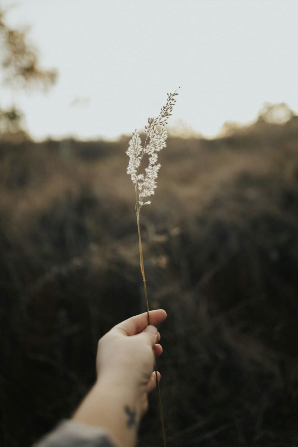 do i tend to embrace change or resist it?