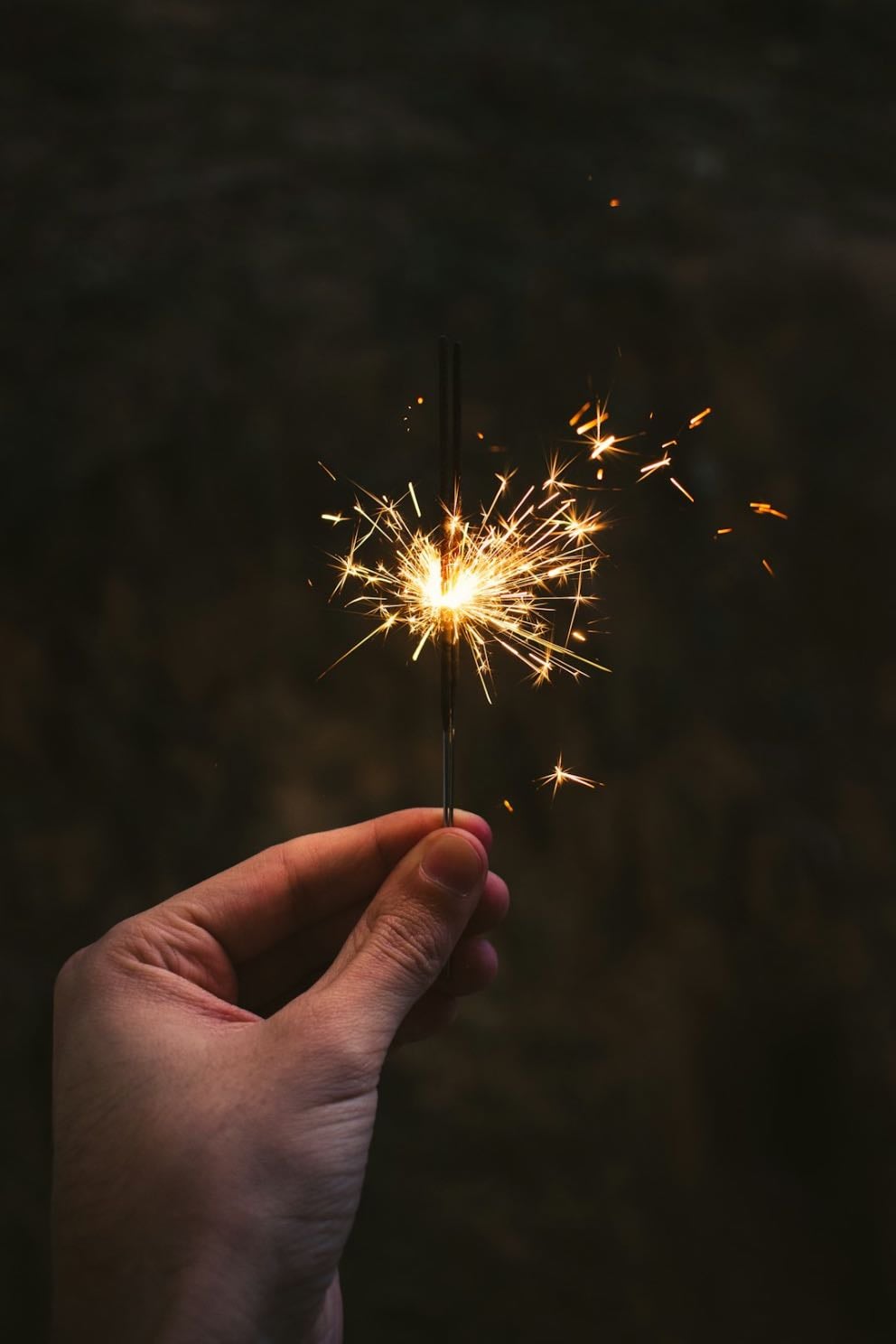 if you were granted 3 wishes what would you wish for?
