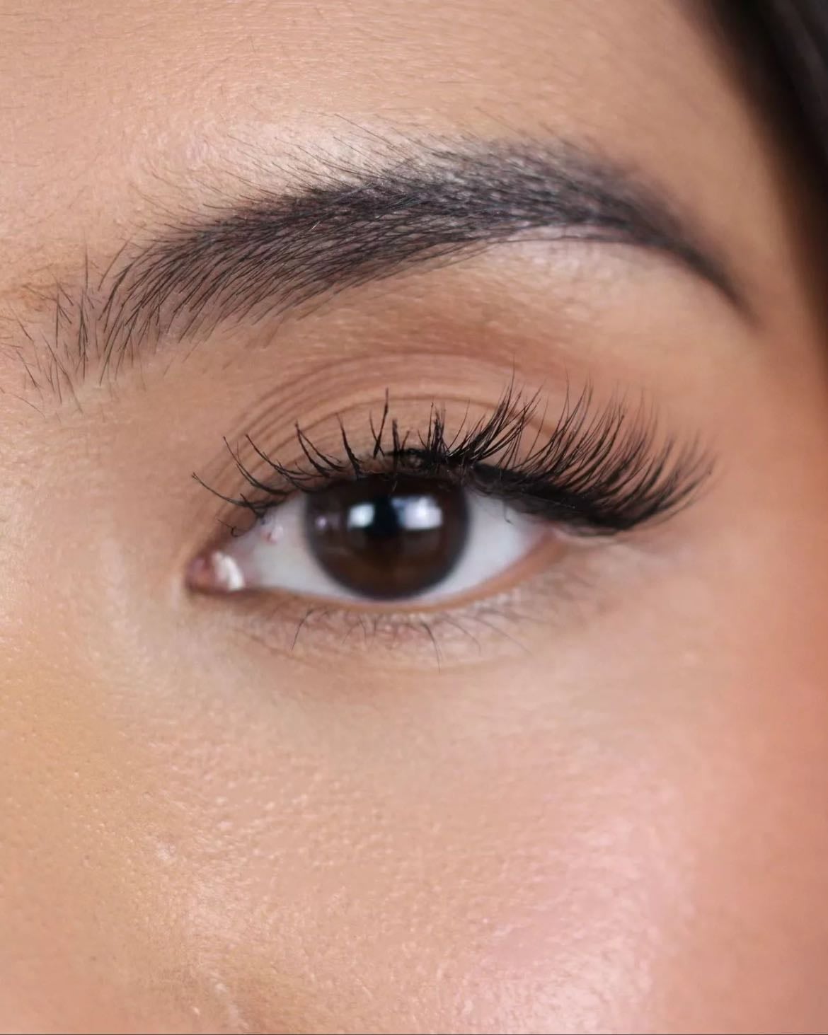 half lashes