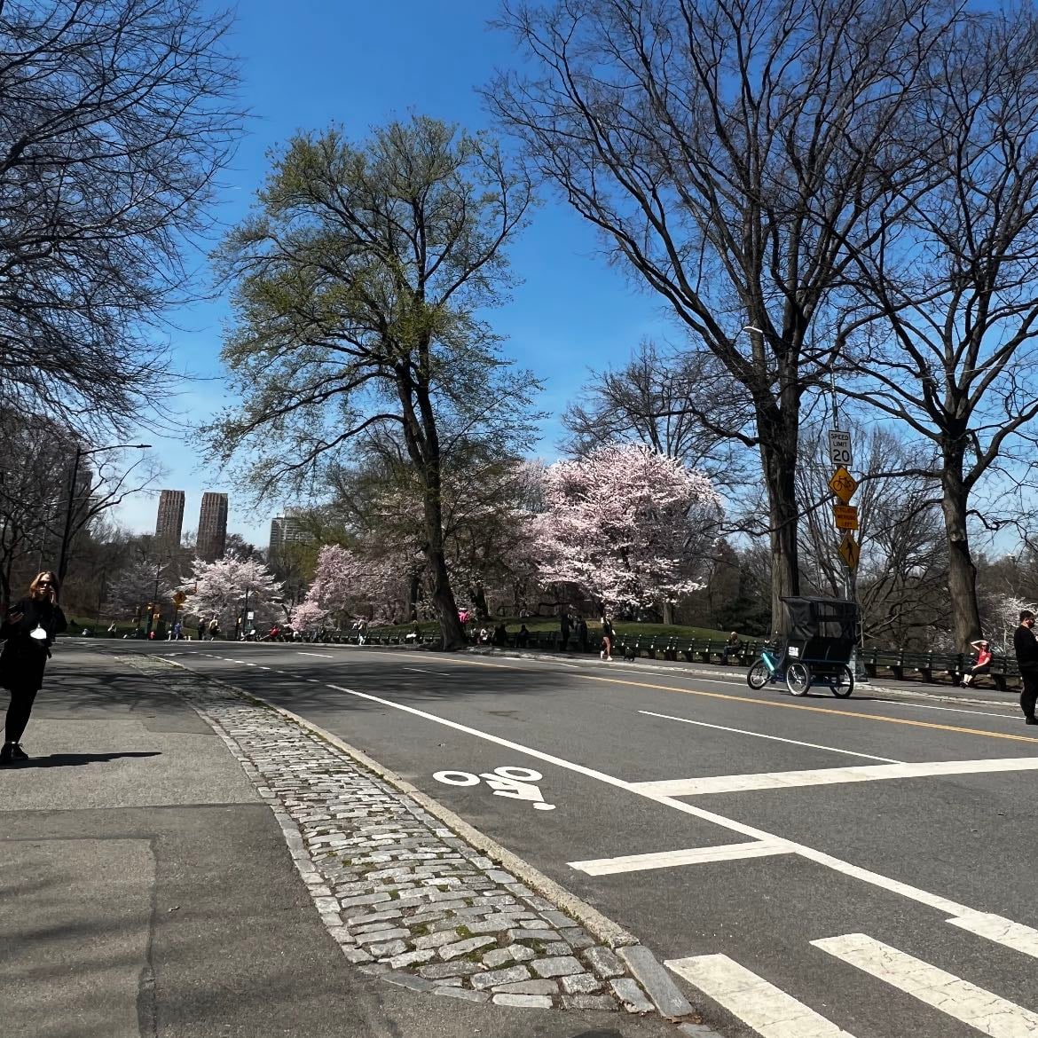 Central Park