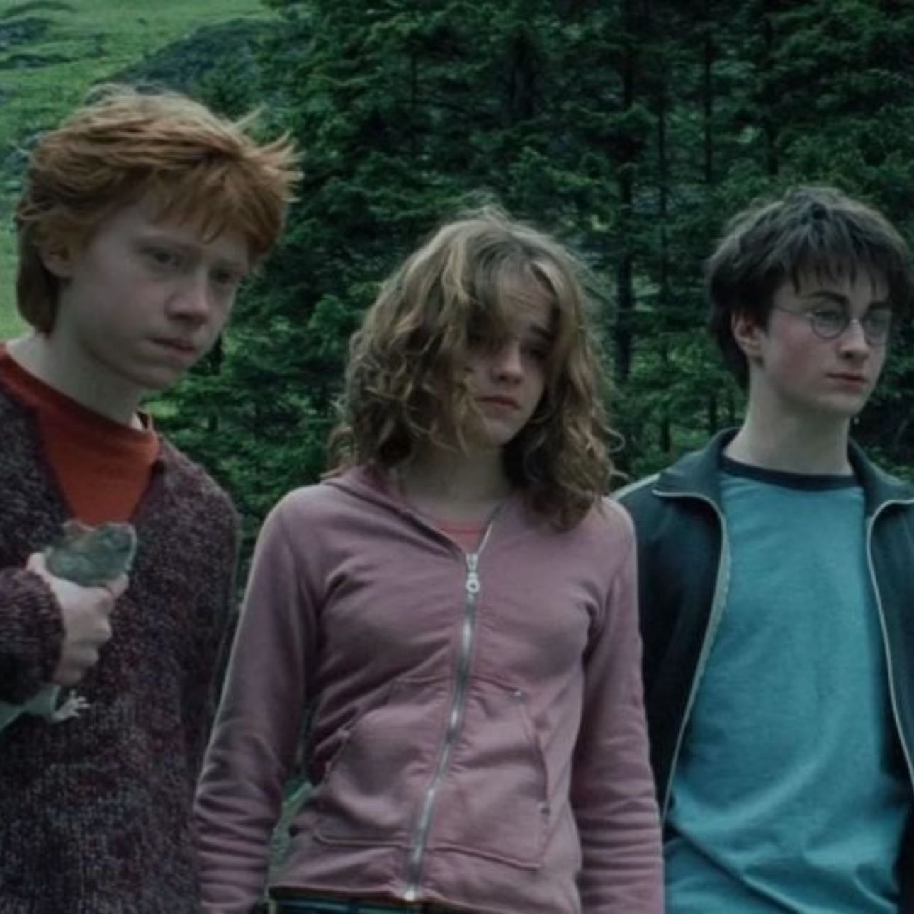Harry Potter and the Prisoner of Azkaban - Alfonso Cuarón · 2004