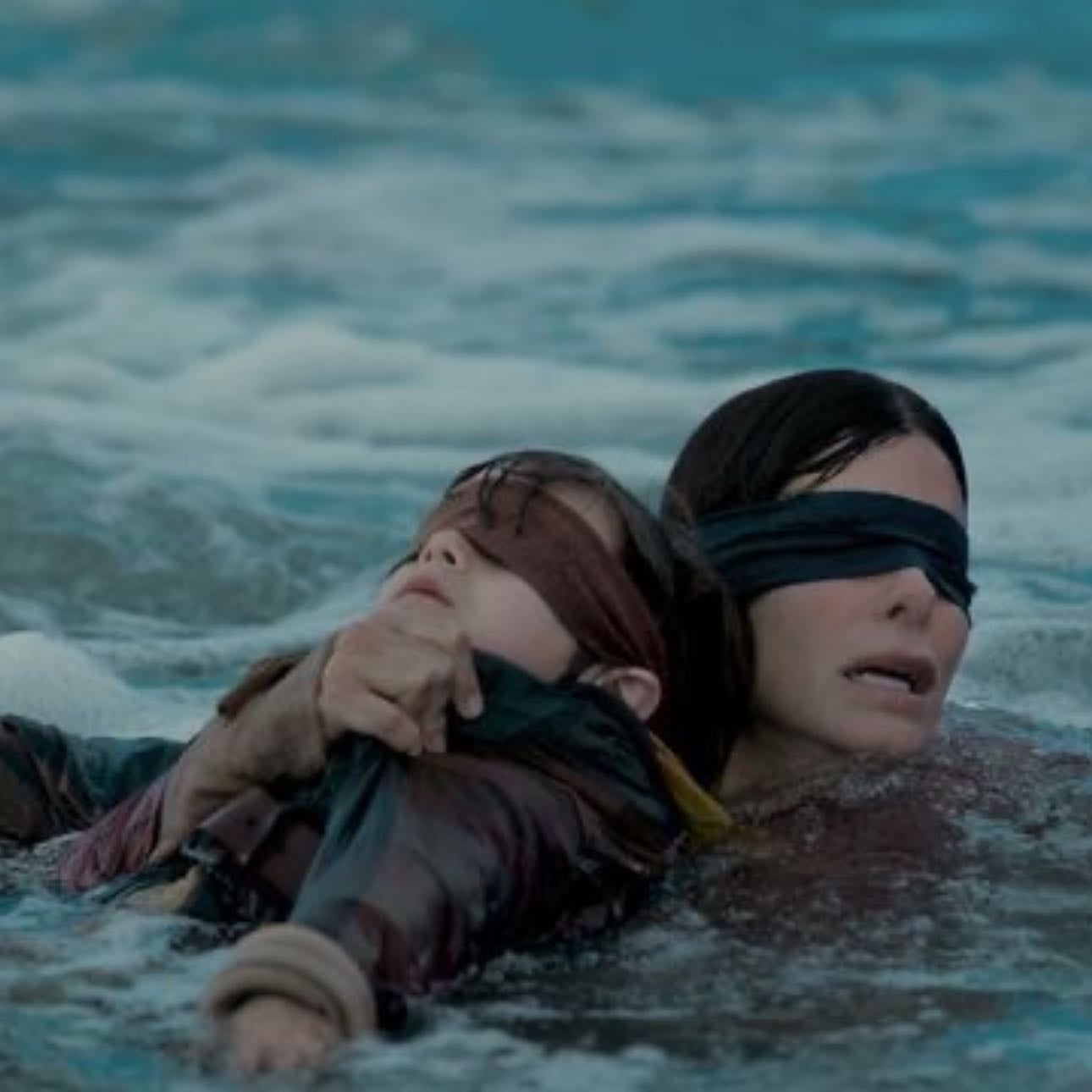 Bird Box - Susanne Bier · 2018