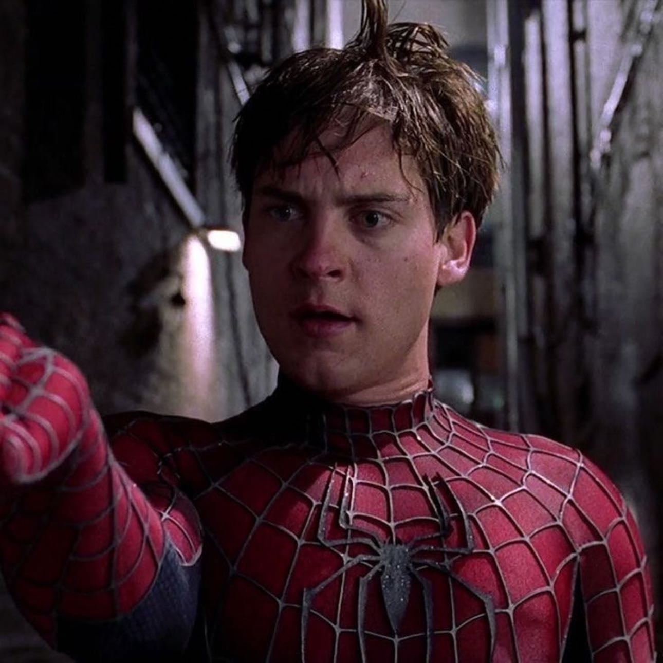 Spider-Man - Sam Raimi · 2002