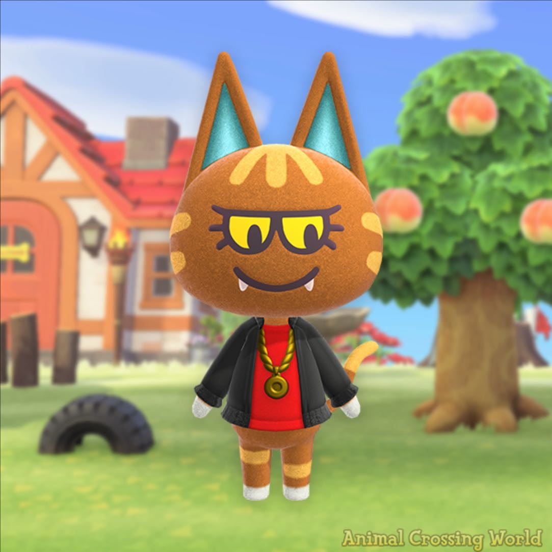 katt