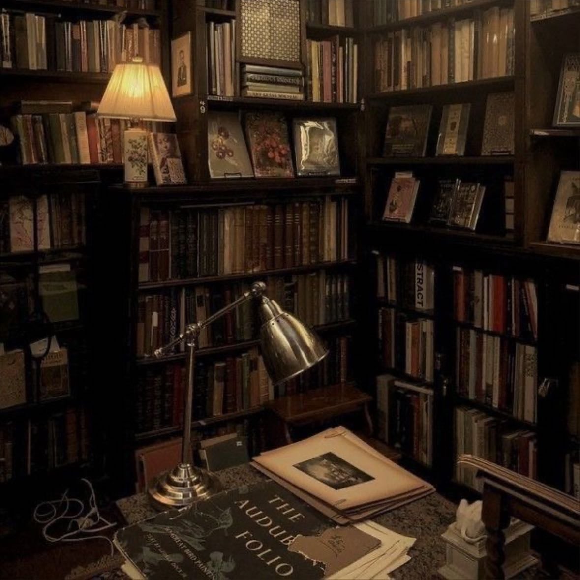dark academia - favorite aesthetic