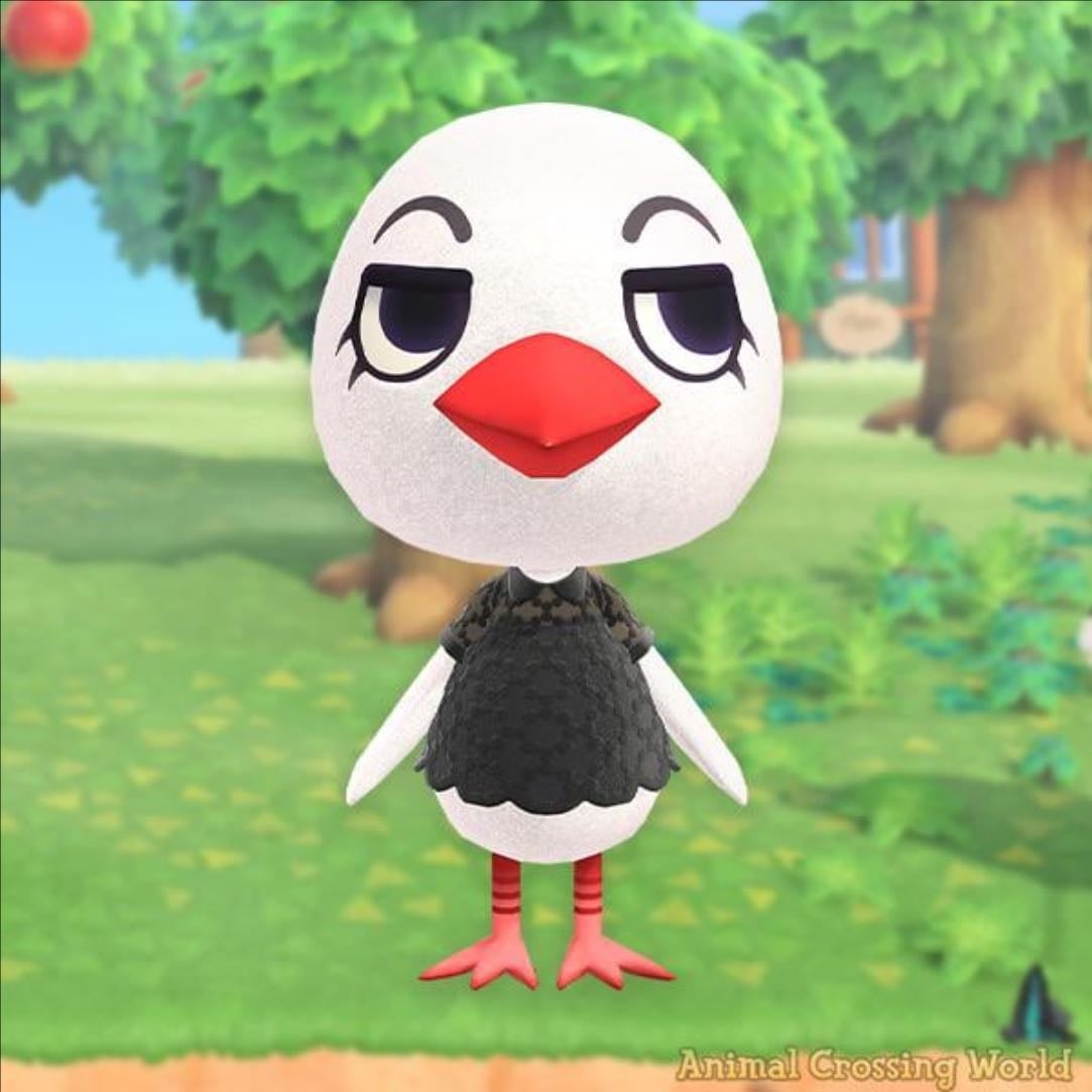 piper