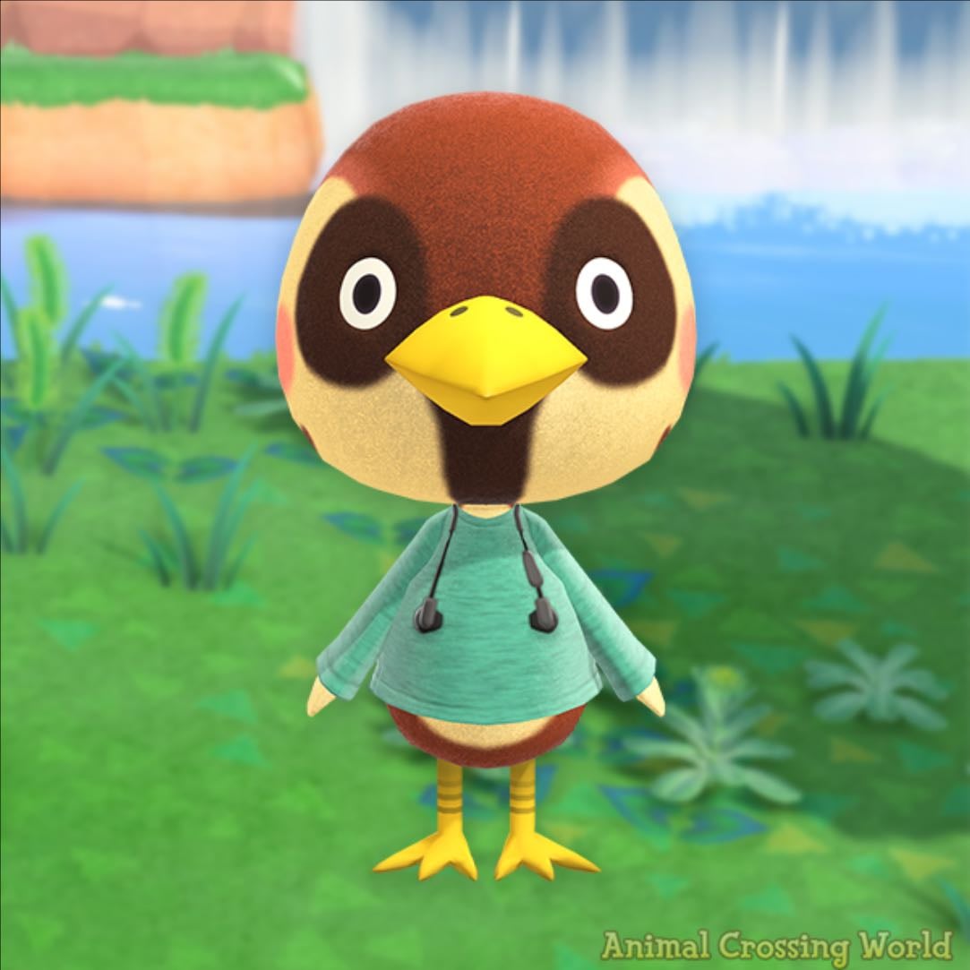 sparro
