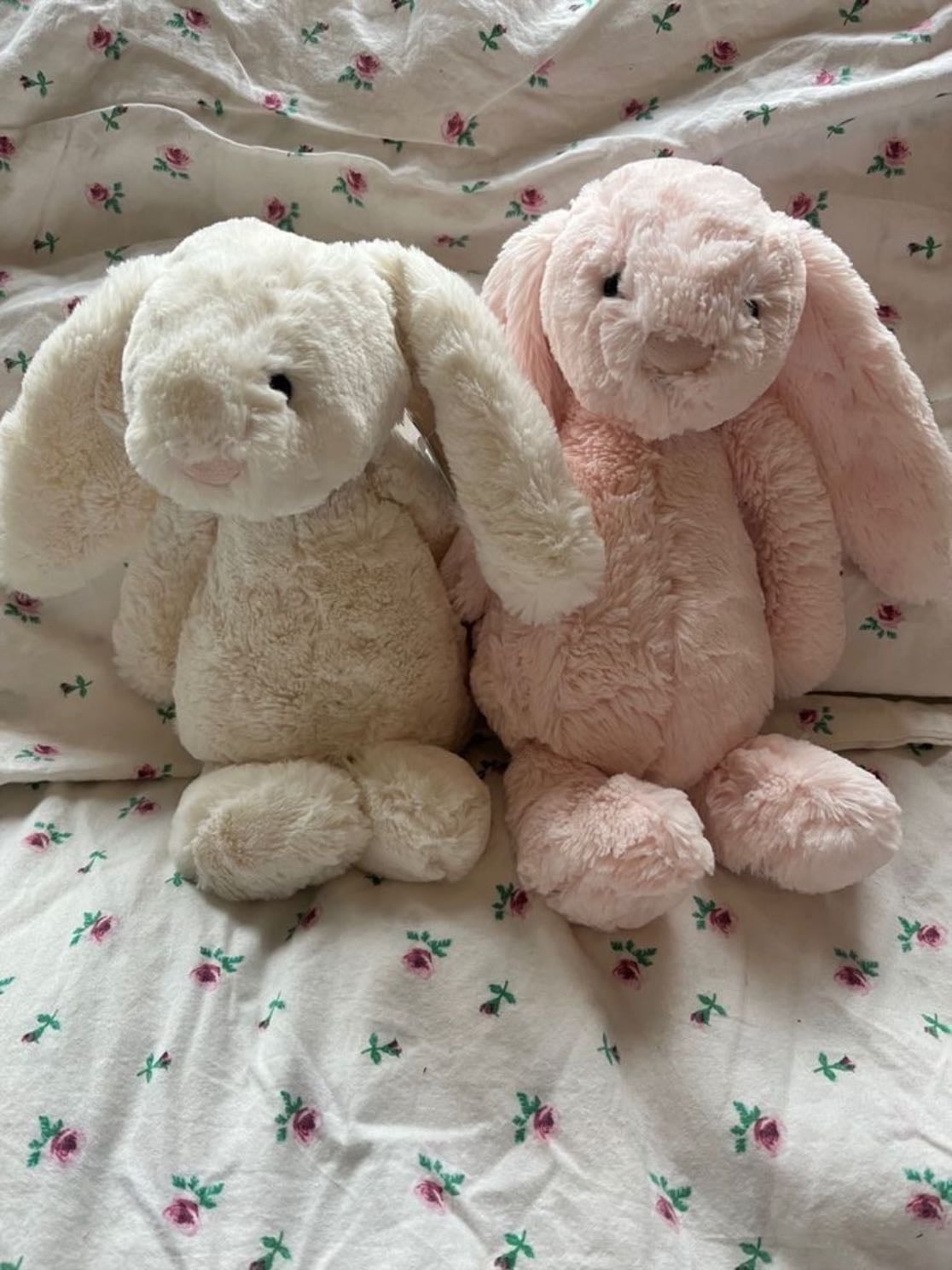 bunnies