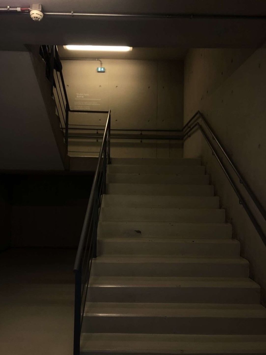 stairs - i was lost in a hospital on my way to a conference. when i finally found the others, we climbed stairs so high they filled me with fear.