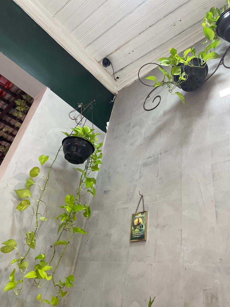 Realeza Dos Cachos Unidade São Brás