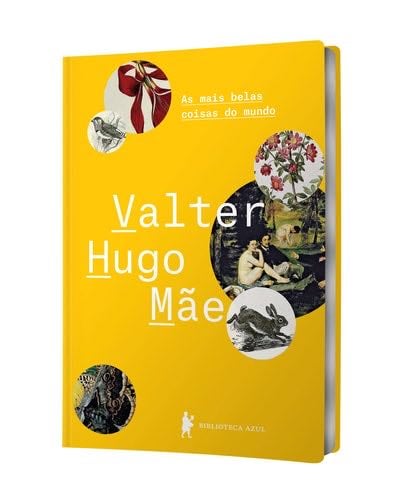 As Mais Belas Coisas do Mundo (Em Portugues do Brasil) - Valter Hugo Mae · 2019