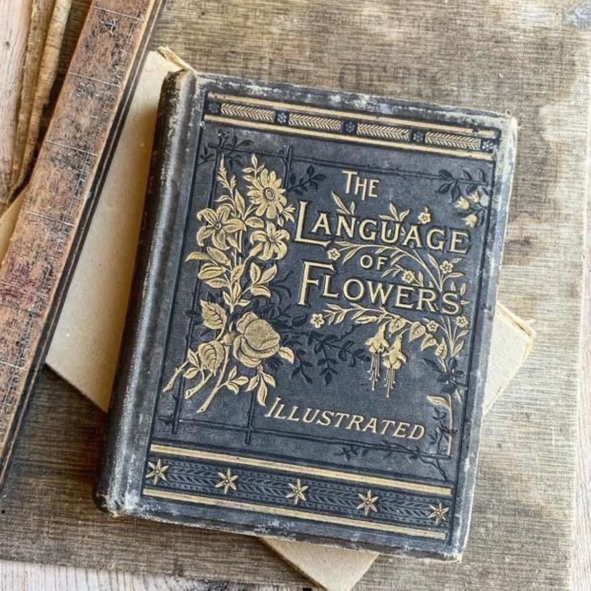 The Language of Flowers - Vanessa Diffenbaugh · 2011