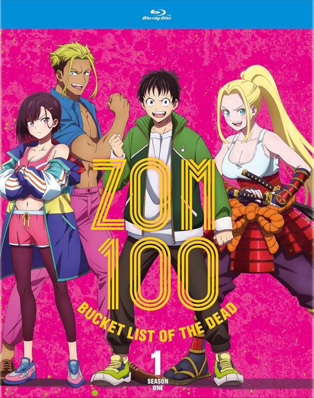 Zoom:100