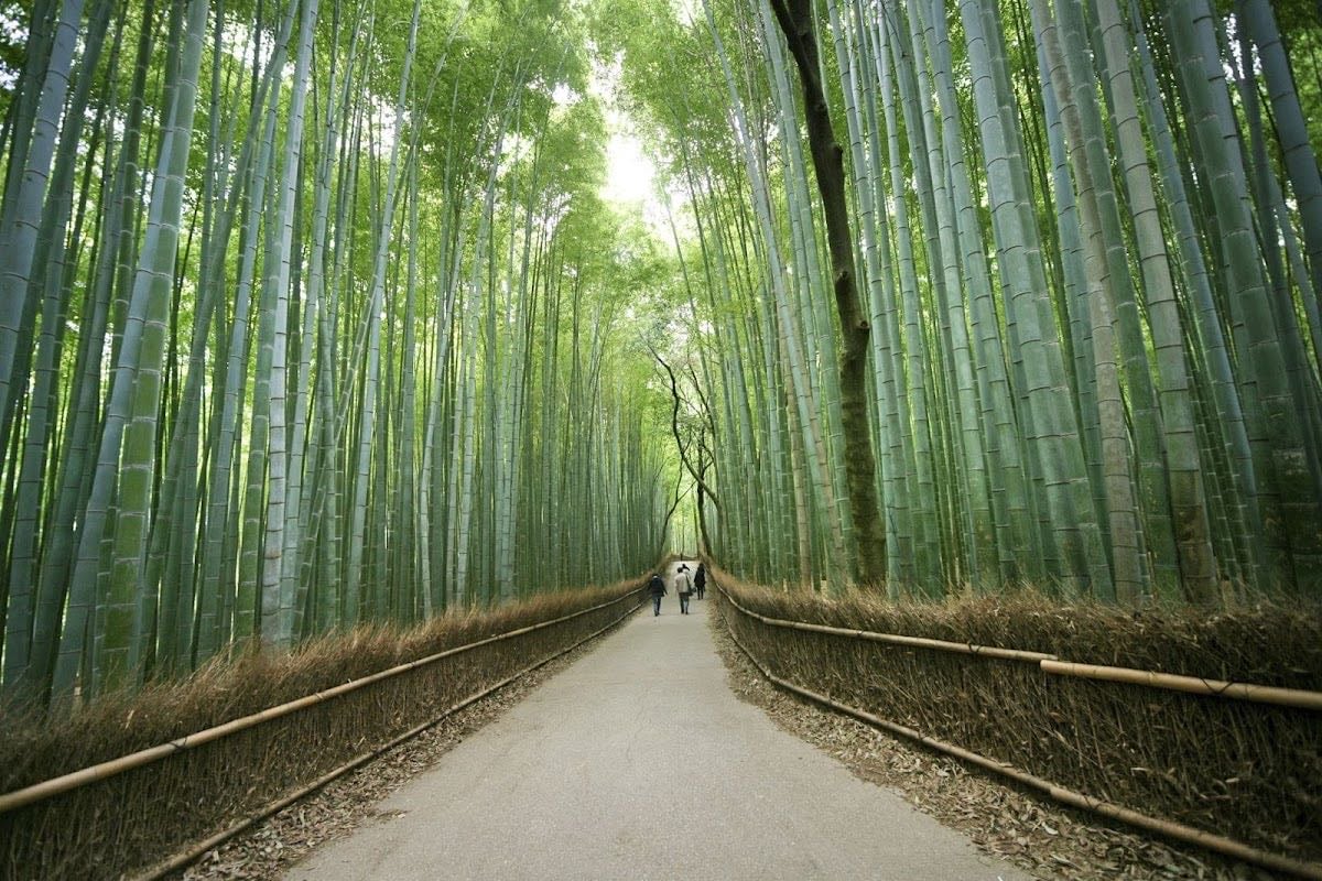 Arashiyama Nakaoshitachō